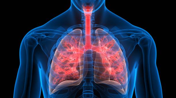 Pulmonology